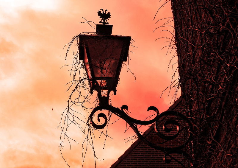 Farol junto a un árbol al atardecer
